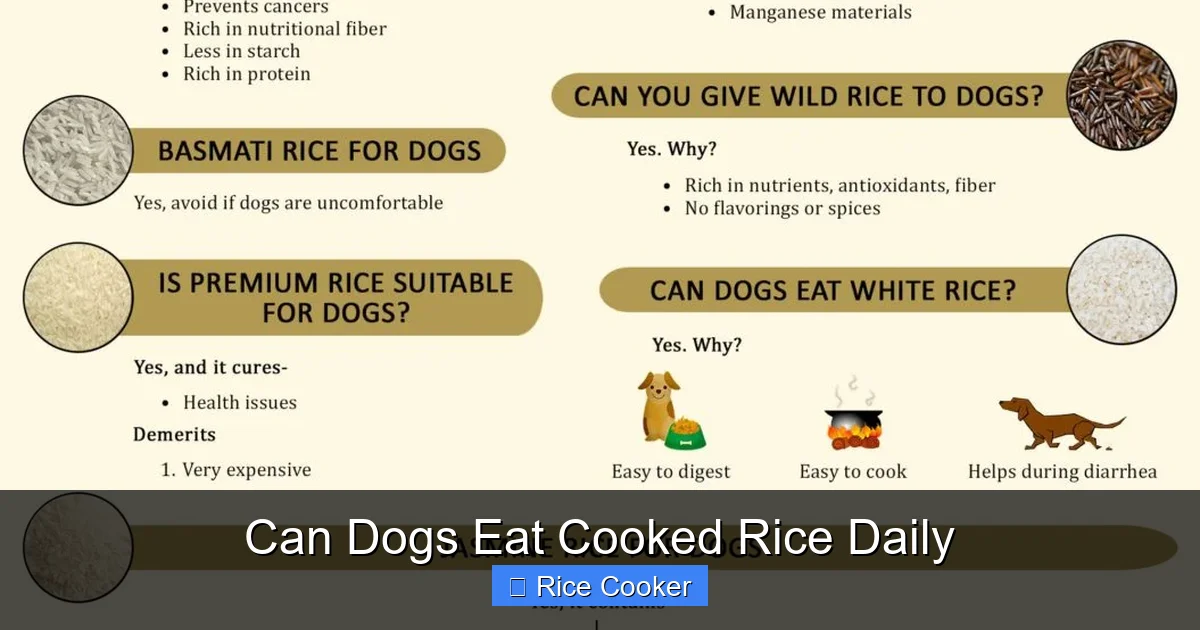 Can Dogs Eat Cooked Rice Daily