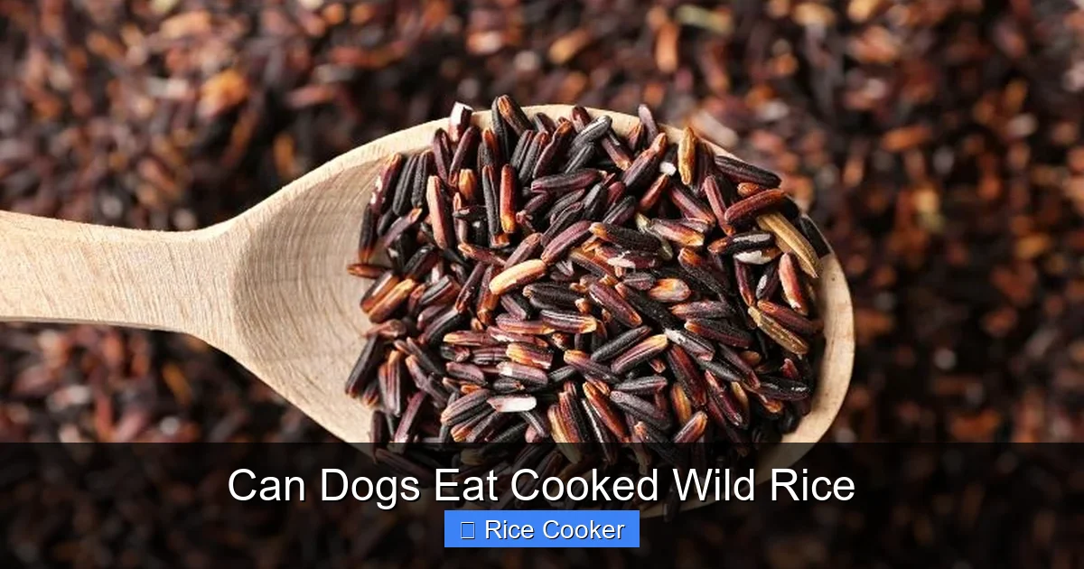 Can Dogs Eat Cooked Wild Rice