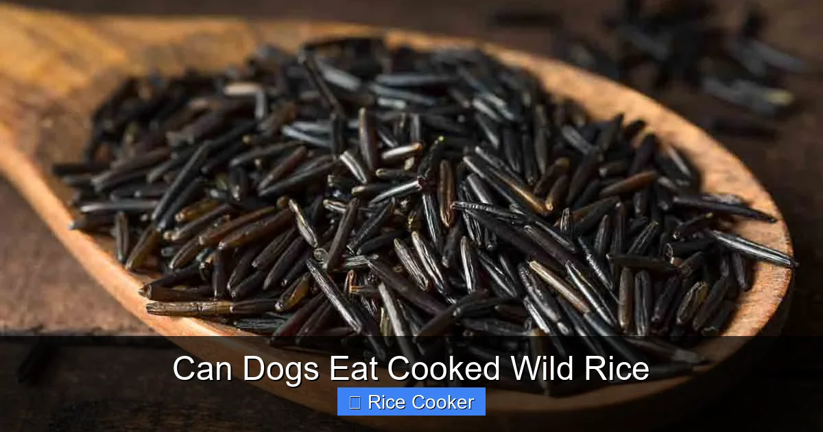 Can Dogs Eat Cooked Wild Rice