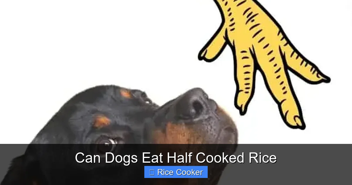 Can Dogs Eat Half Cooked Rice