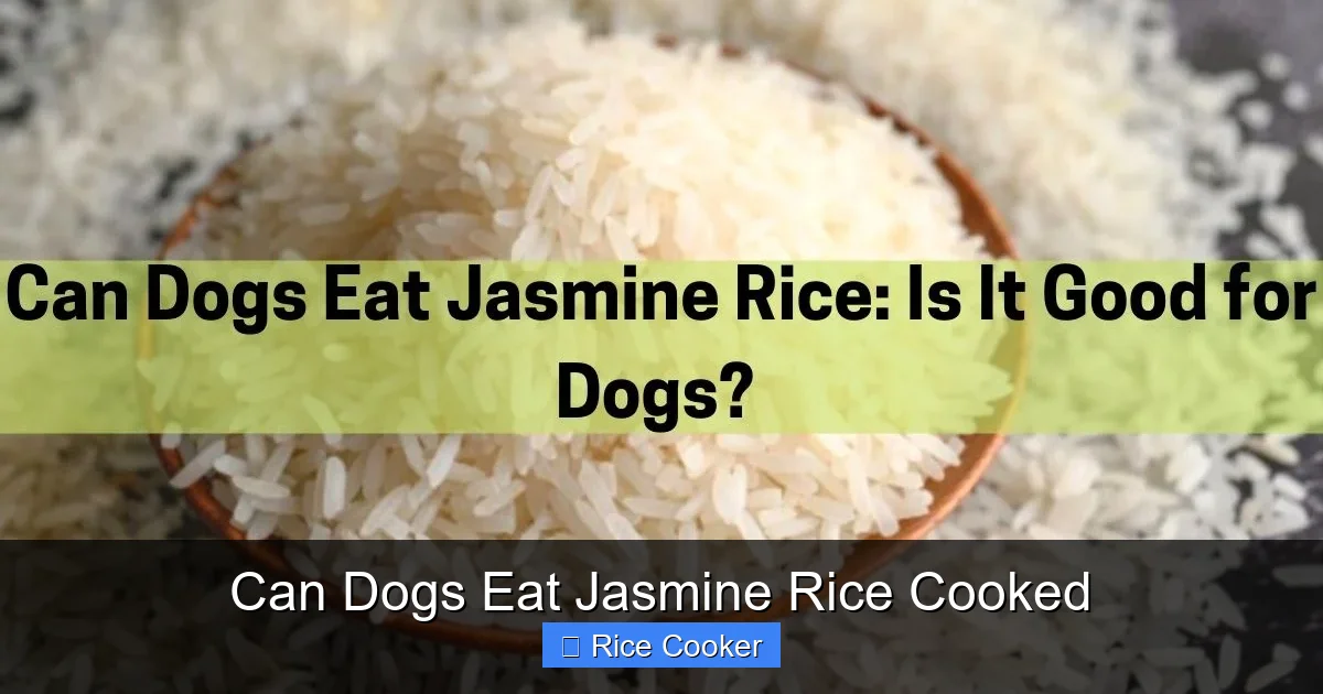 Can Dogs Eat Jasmine Rice Cooked