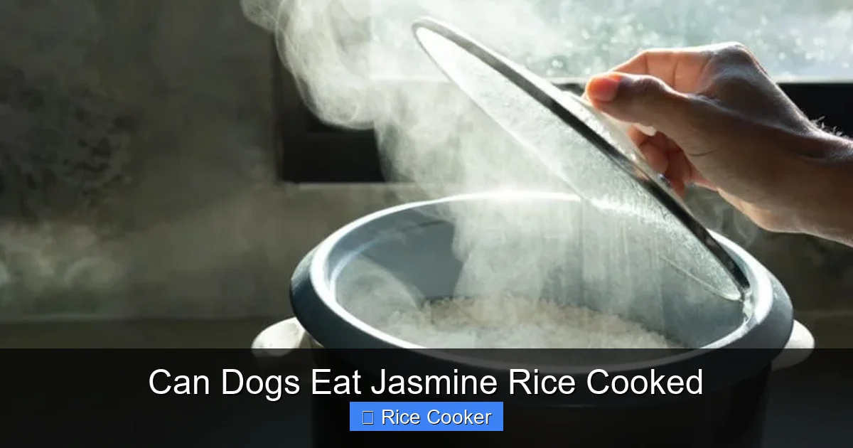 Can Dogs Eat Jasmine Rice Cooked