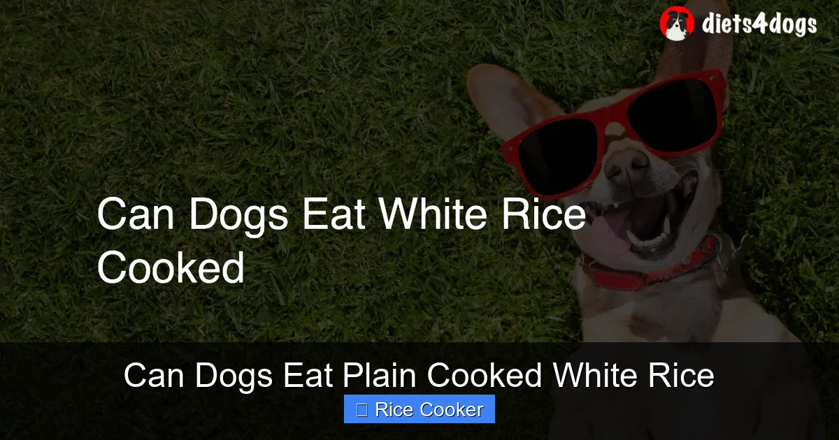 Can Dogs Eat Plain Cooked White Rice