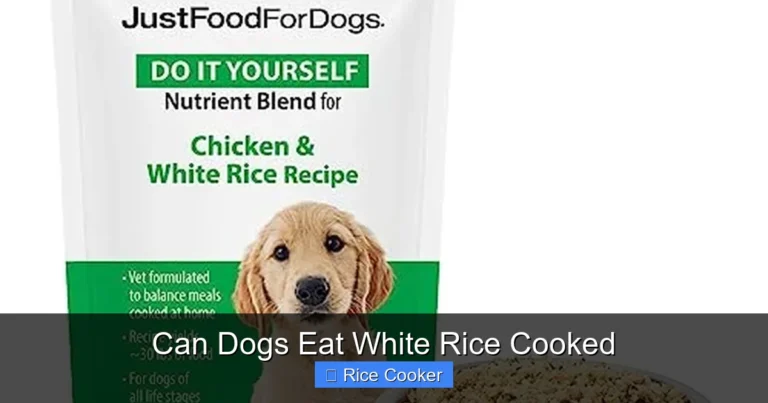 Can Dogs Eat White Rice Cooked