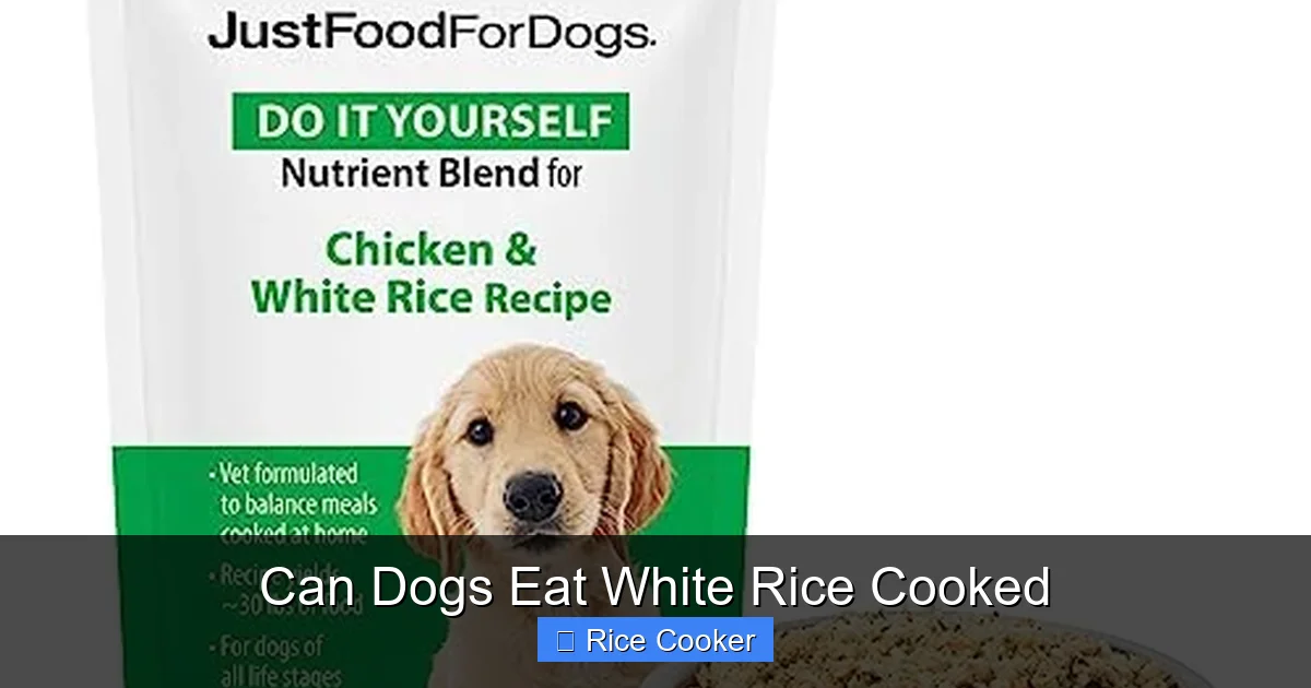 Can Dogs Eat White Rice Cooked