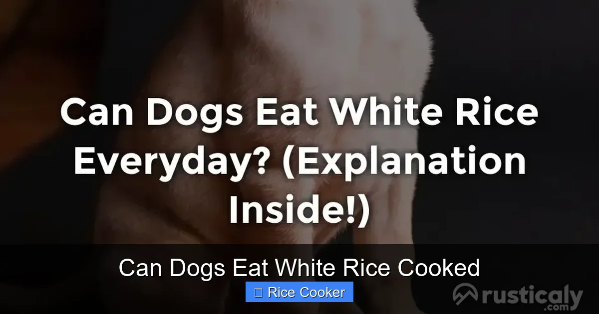 Can Dogs Eat White Rice Cooked