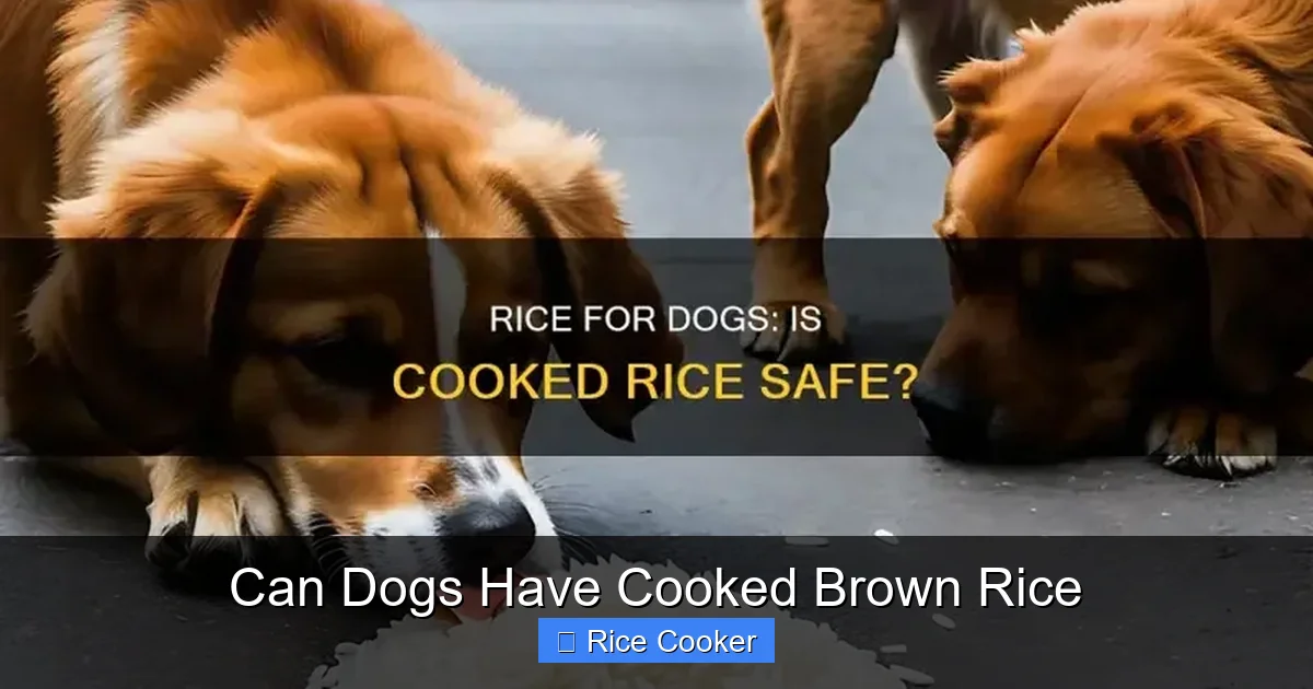 Can Dogs Have Cooked Brown Rice