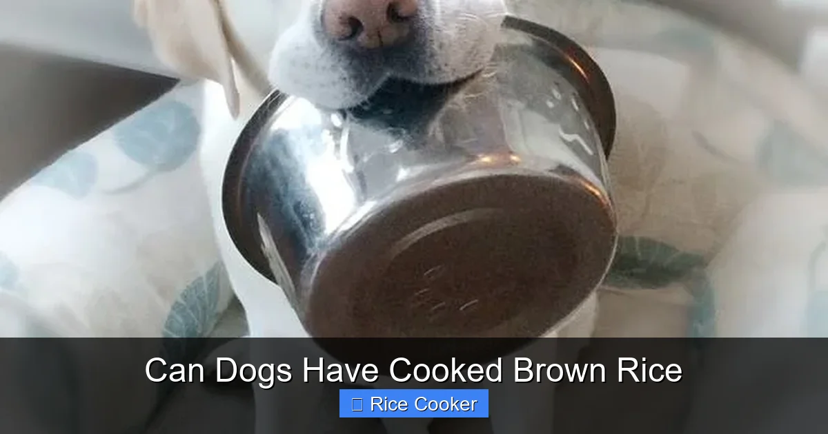 Can Dogs Have Cooked Brown Rice