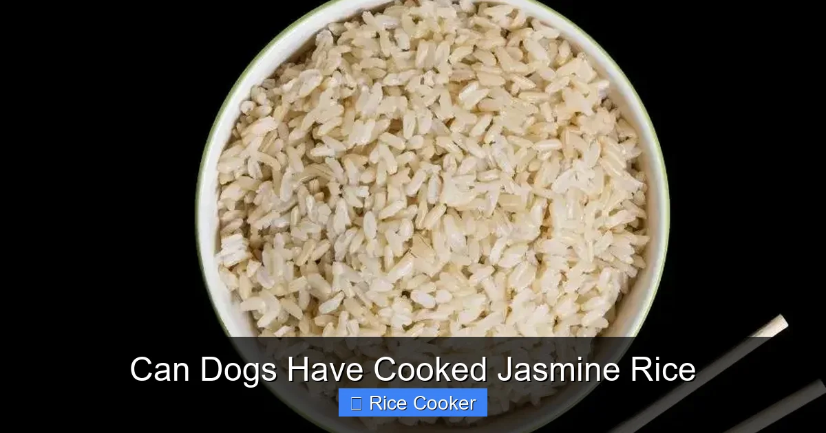 Can Dogs Have Cooked Jasmine Rice