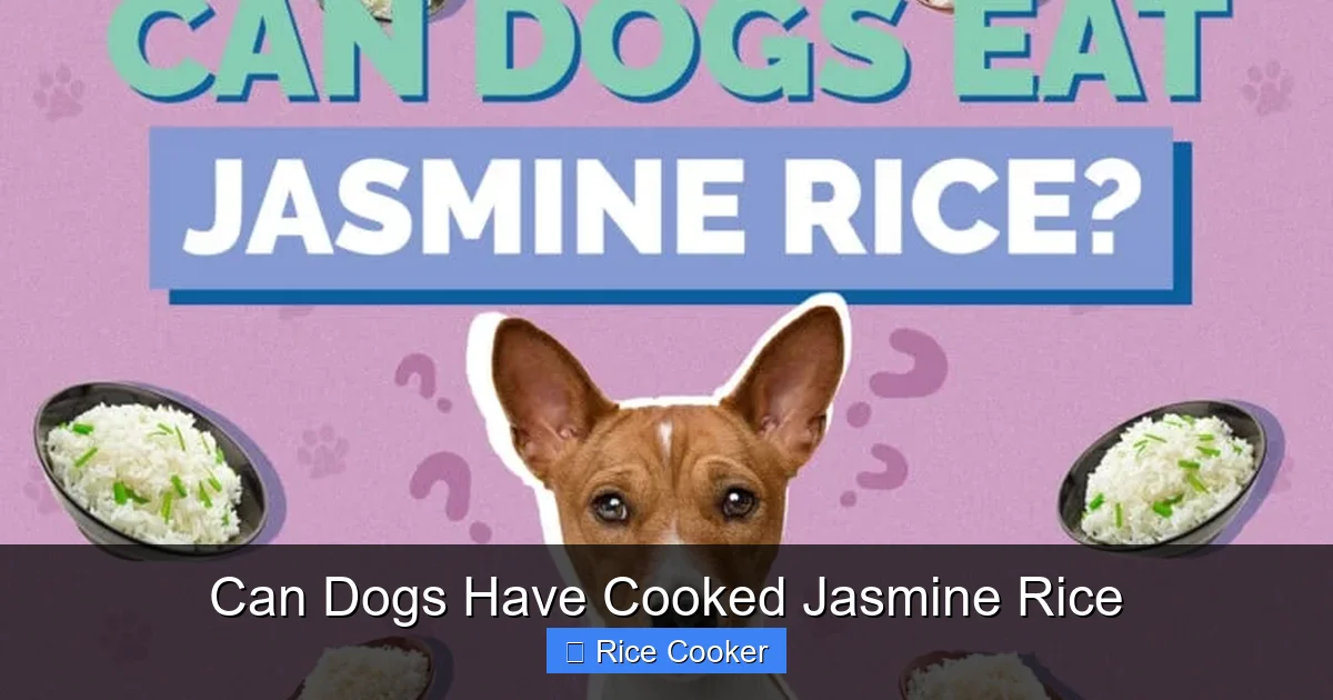 Can Dogs Have Cooked Jasmine Rice