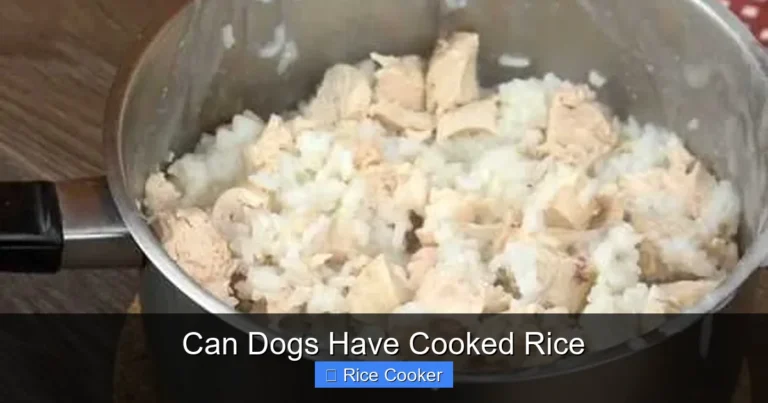 Can Dogs Have Cooked Rice