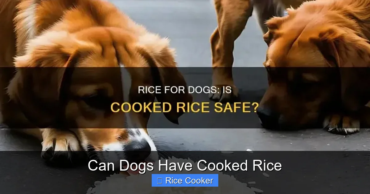 Can Dogs Have Cooked Rice