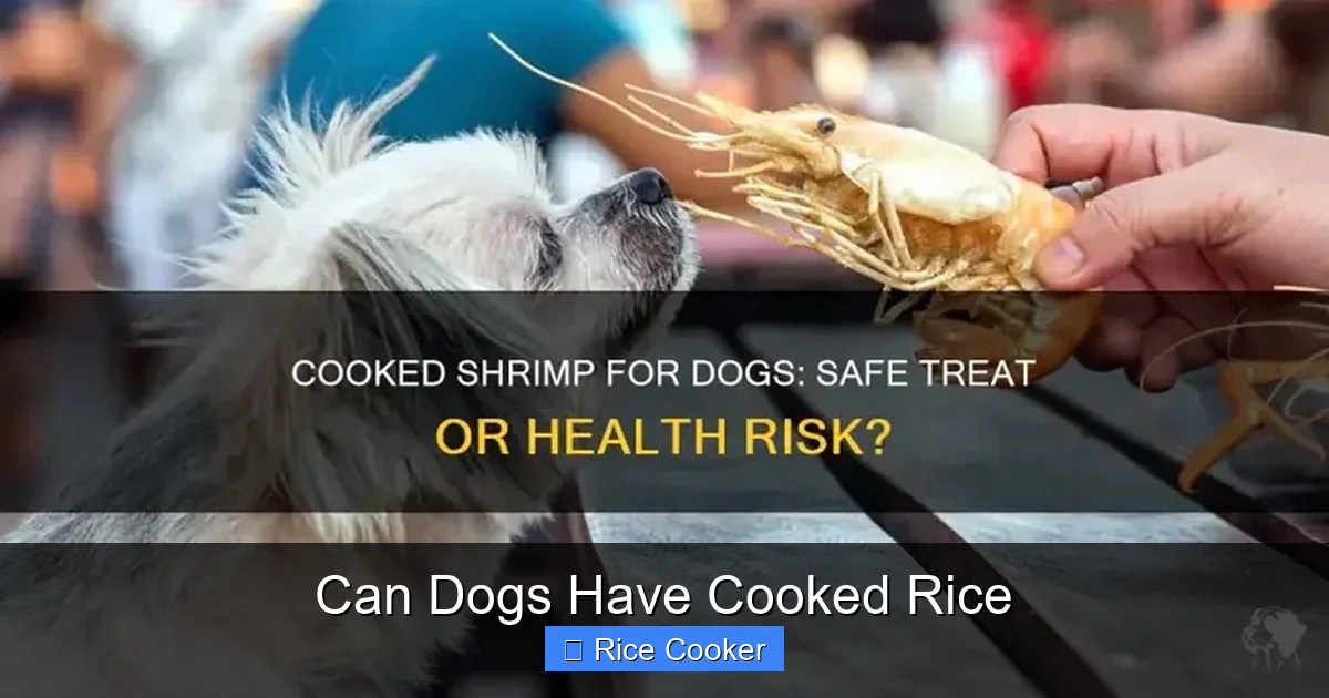 Can Dogs Have Cooked Rice