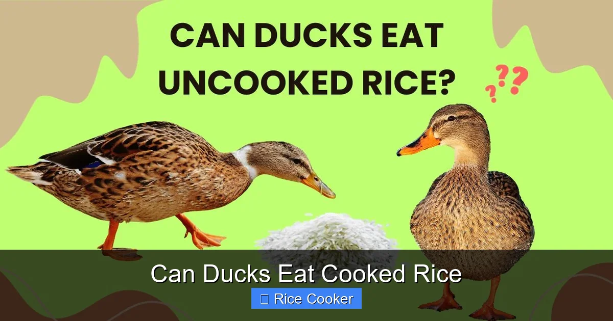 Can Ducks Eat Cooked Rice