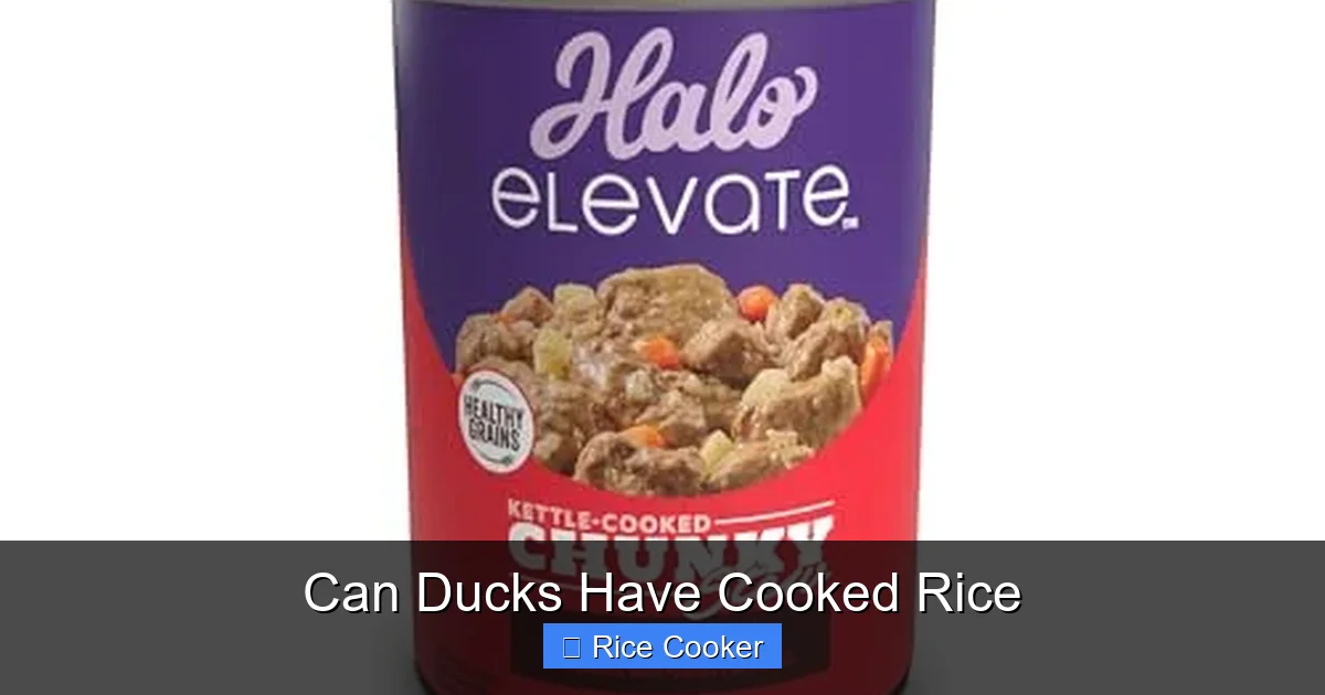 Can Ducks Have Cooked Rice