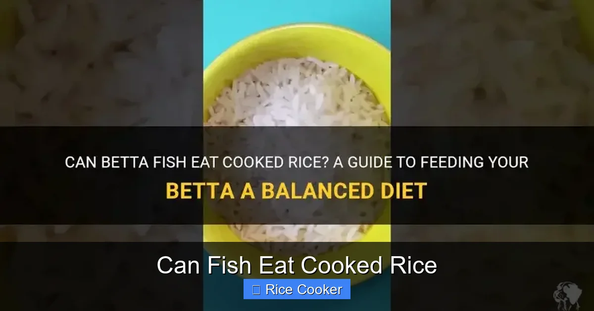 Can Fish Eat Cooked Rice