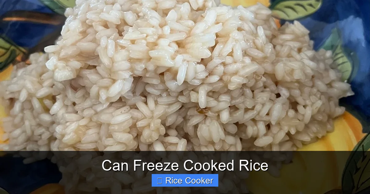 Can Freeze Cooked Rice