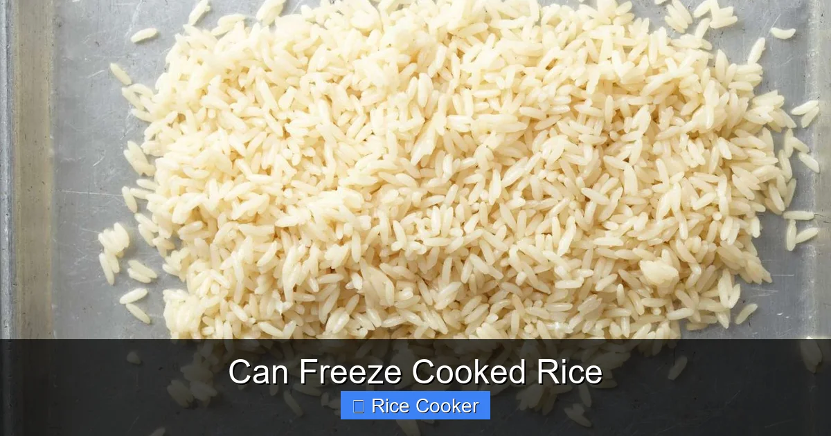 Can Freeze Cooked Rice