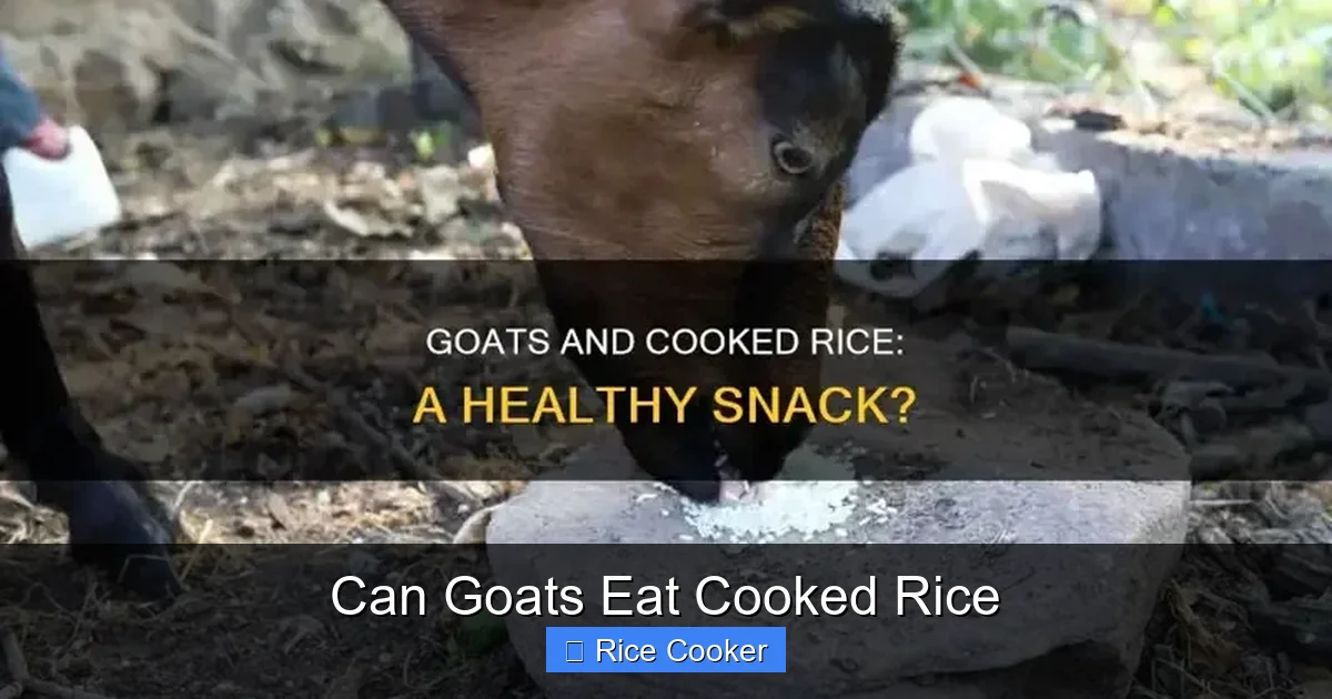 Can Goats Eat Cooked Rice