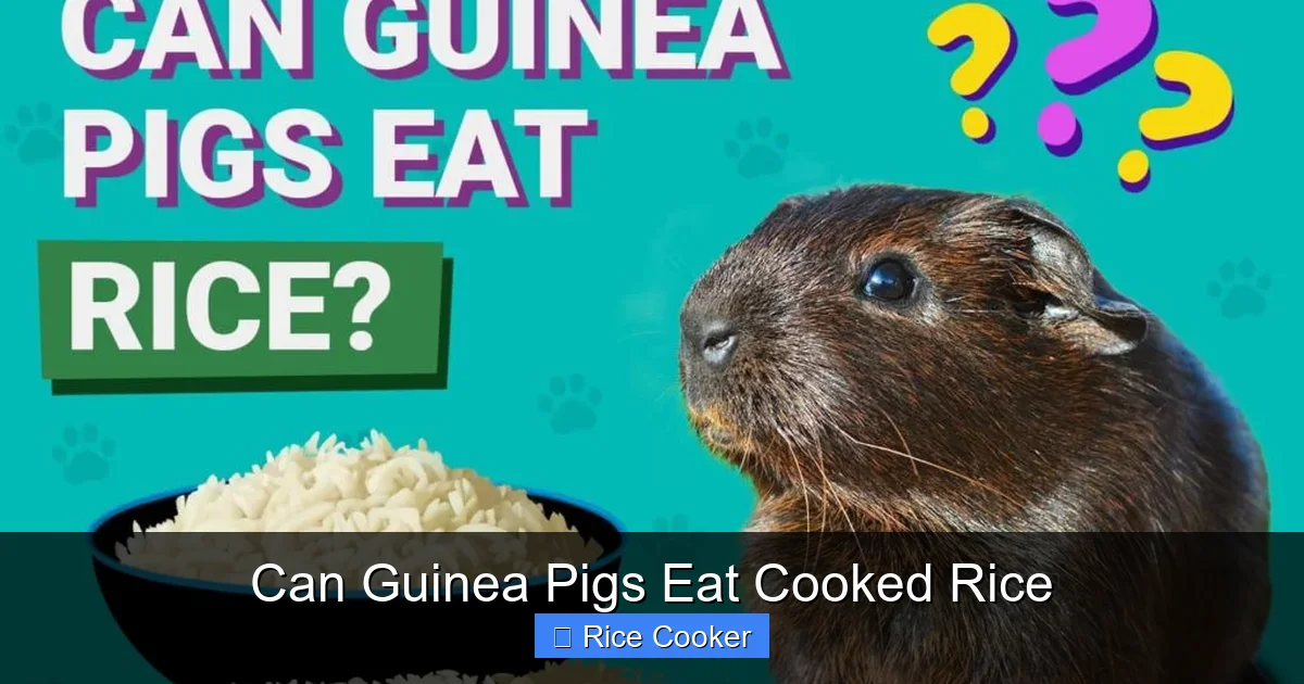 Can Guinea Pigs Eat Cooked Rice