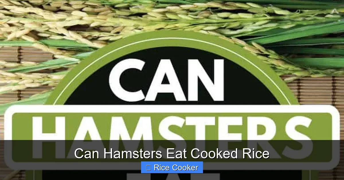 Can Hamsters Eat Cooked Rice
