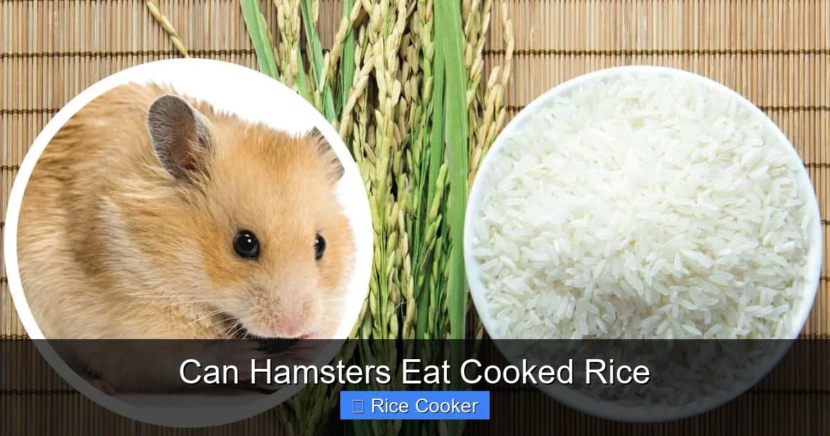 Can Hamsters Eat Cooked Rice