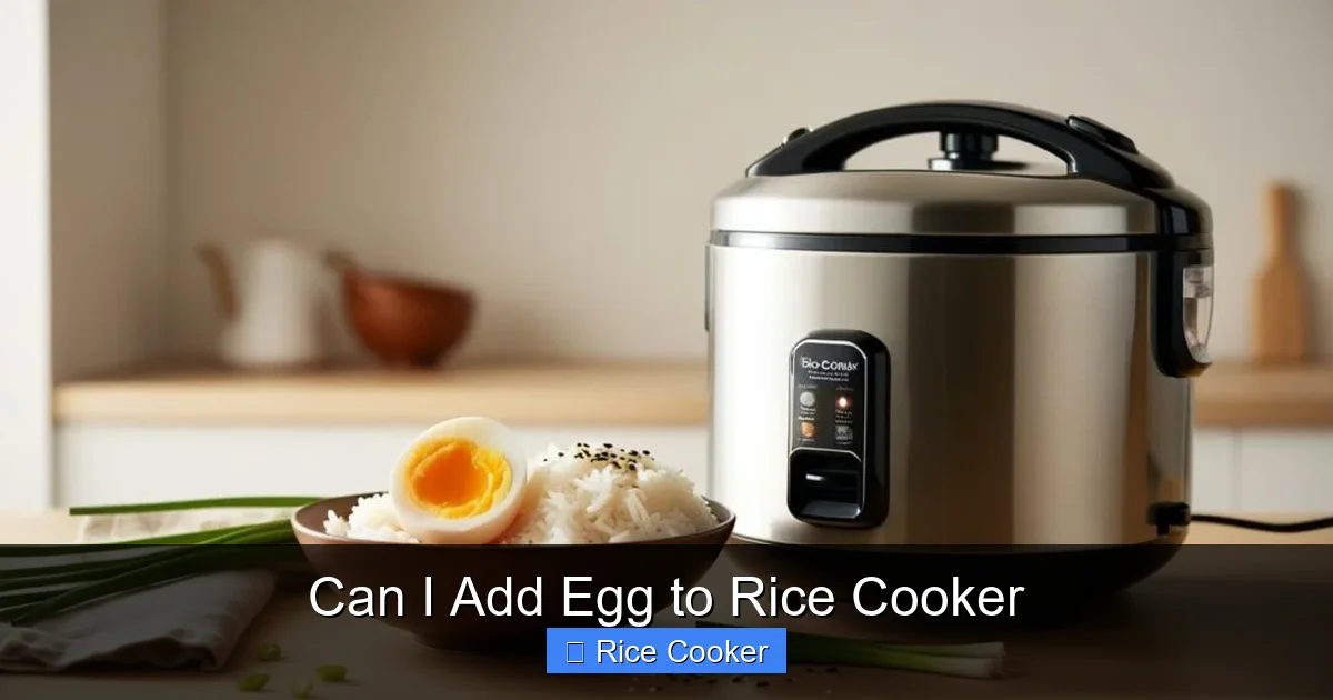 Can I Add Egg to Rice Cooker