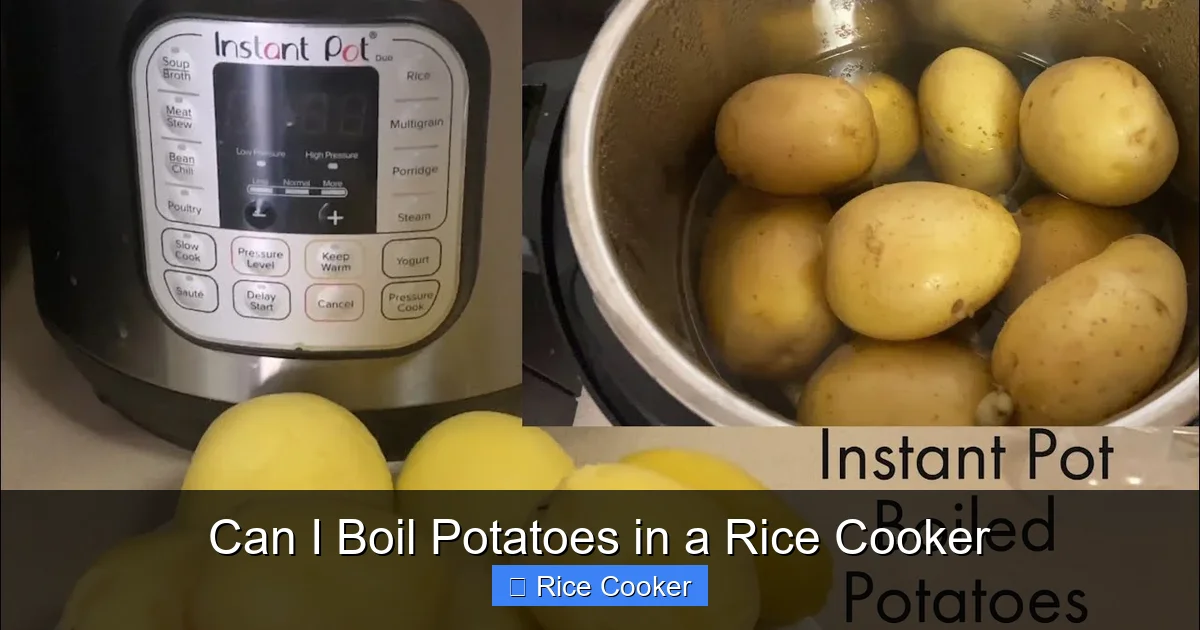 Can I Boil Potatoes in a Rice Cooker