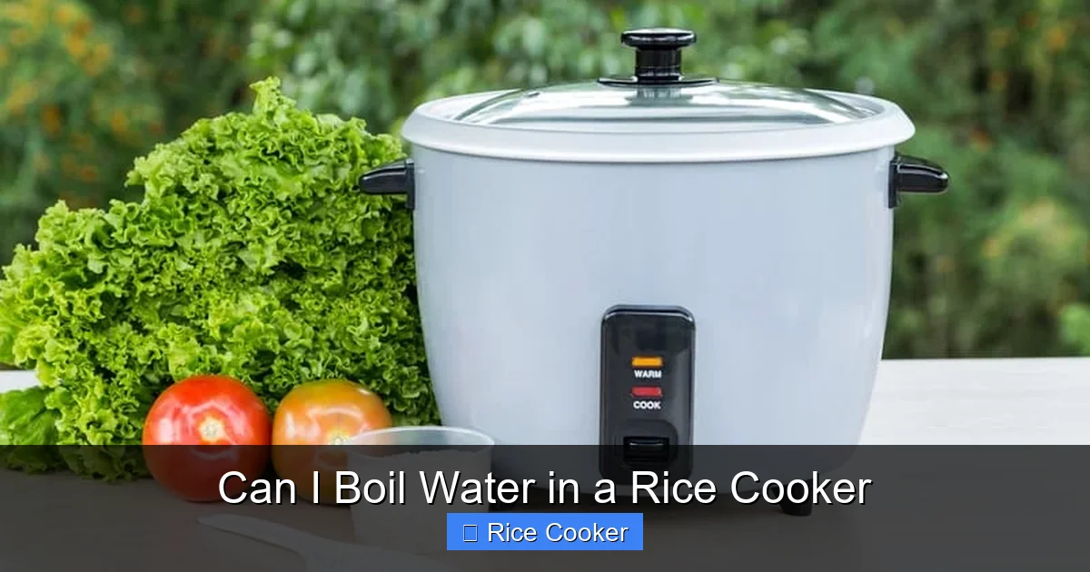 Can I Boil Water in a Rice Cooker