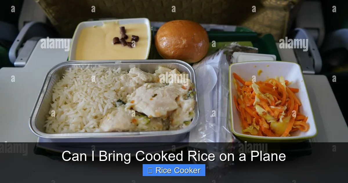 Can I Bring Cooked Rice on a Plane