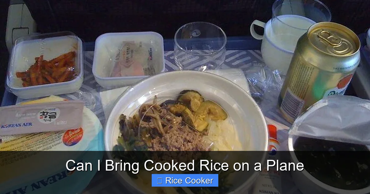 Can I Bring Cooked Rice on a Plane