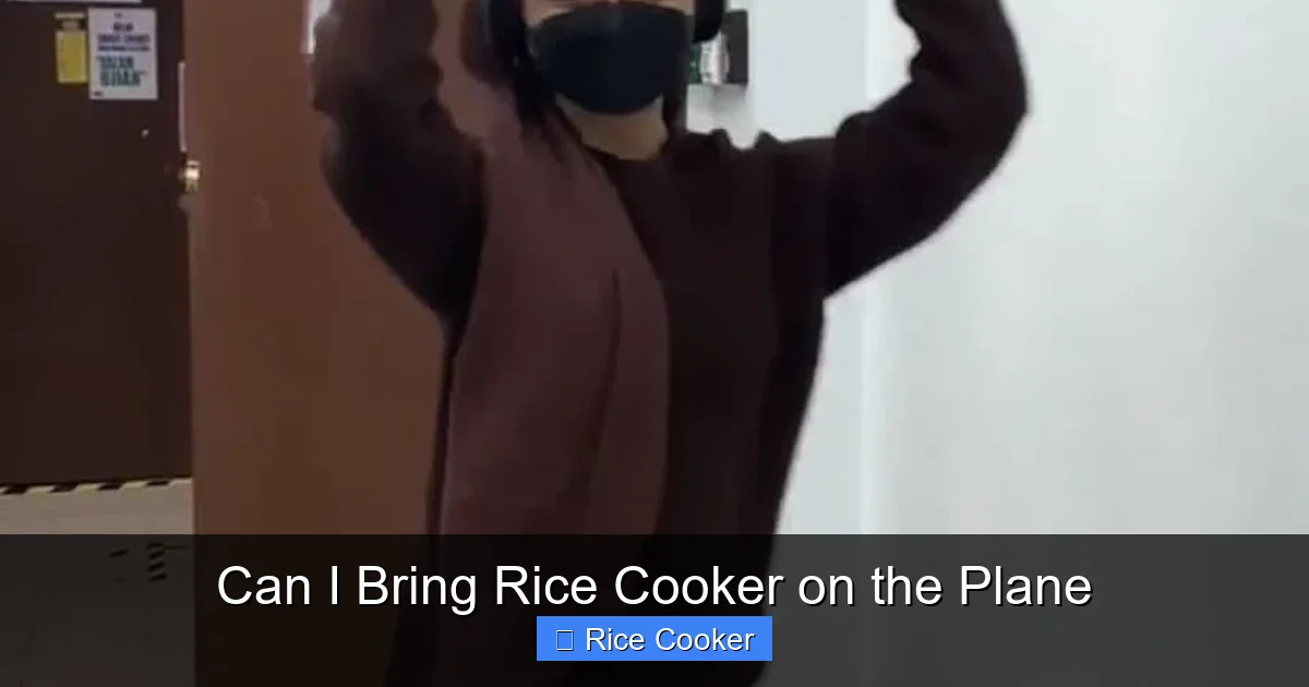 Can I Bring Rice Cooker on the Plane