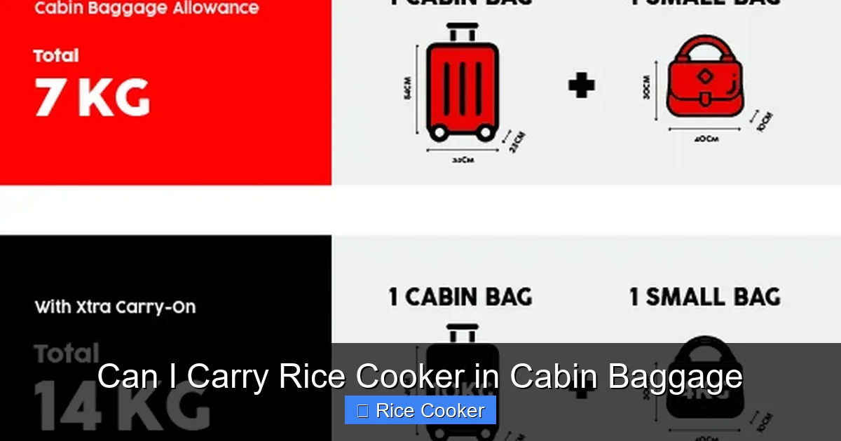 Can I Carry Rice Cooker in Cabin Baggage