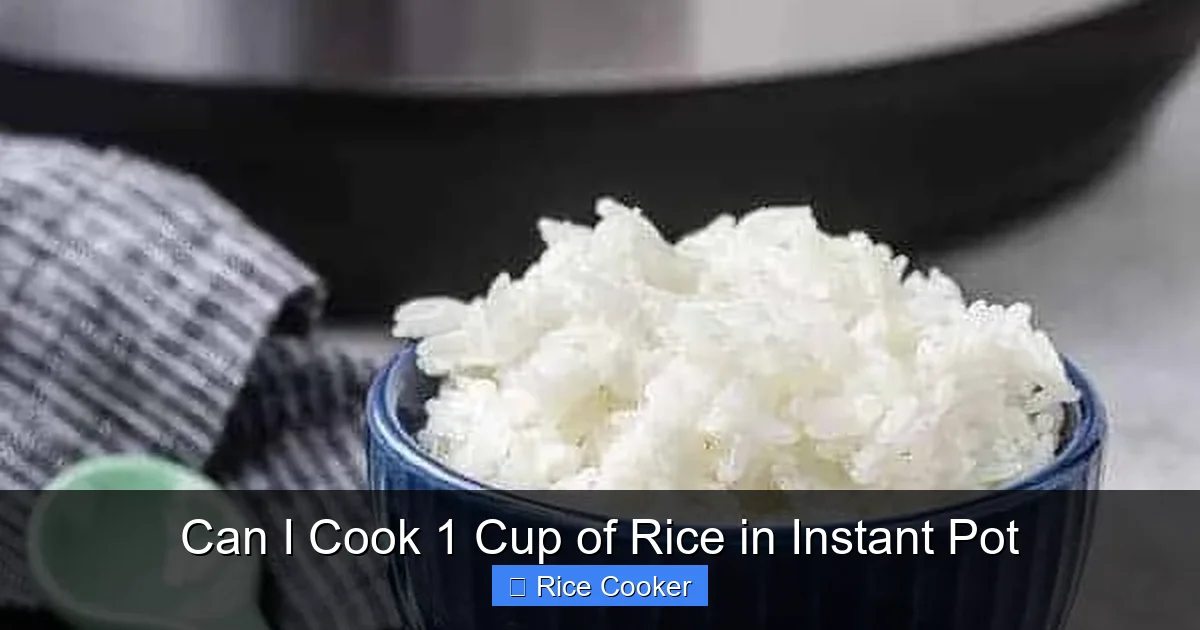 Can I Cook 1 Cup of Rice in Instant Pot