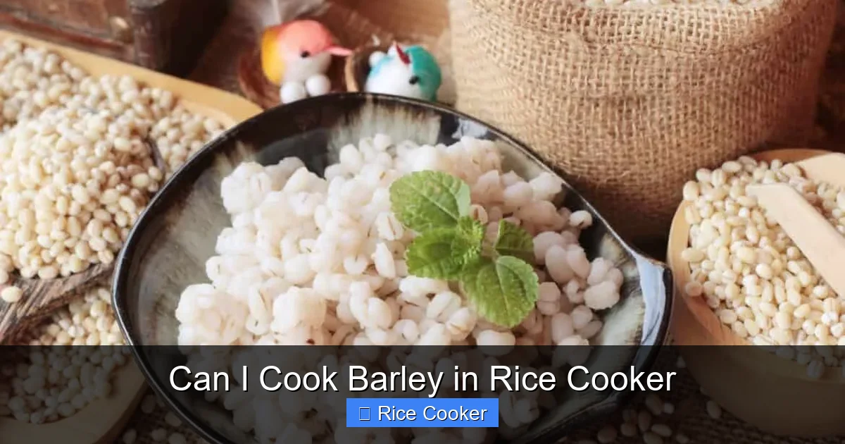 Can I Cook Barley in Rice Cooker
