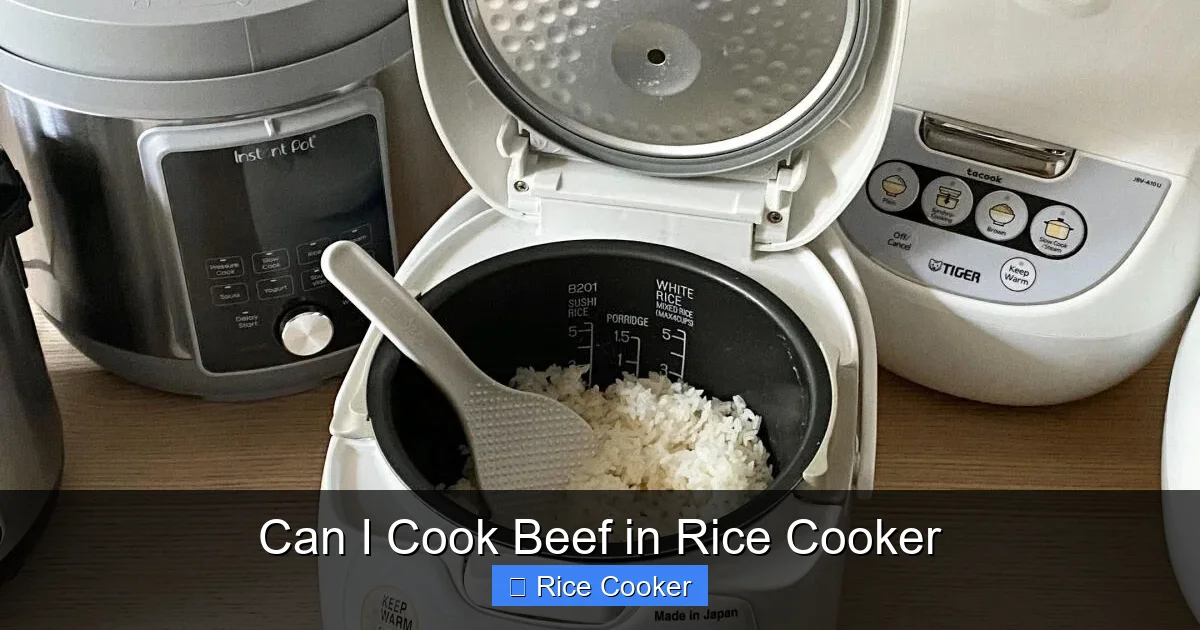 Can I Cook Beef in Rice Cooker