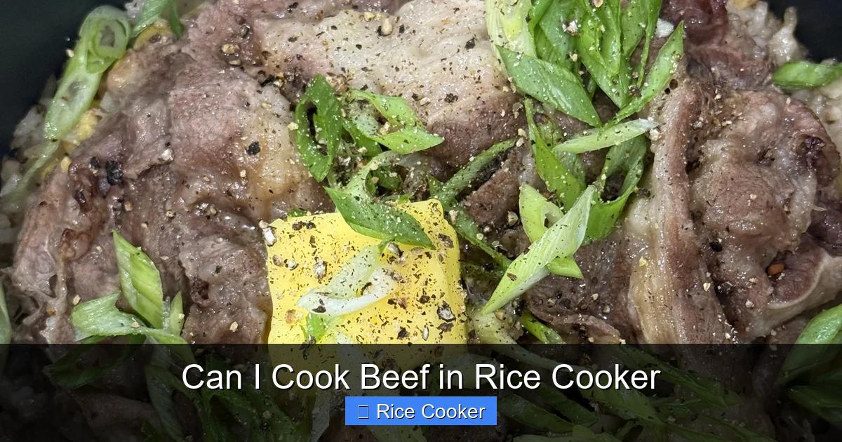Can I Cook Beef in Rice Cooker