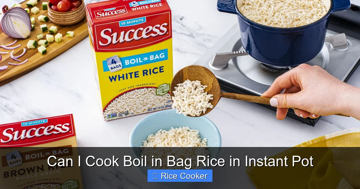 Can I Cook Boil in Bag Rice in Instant Pot