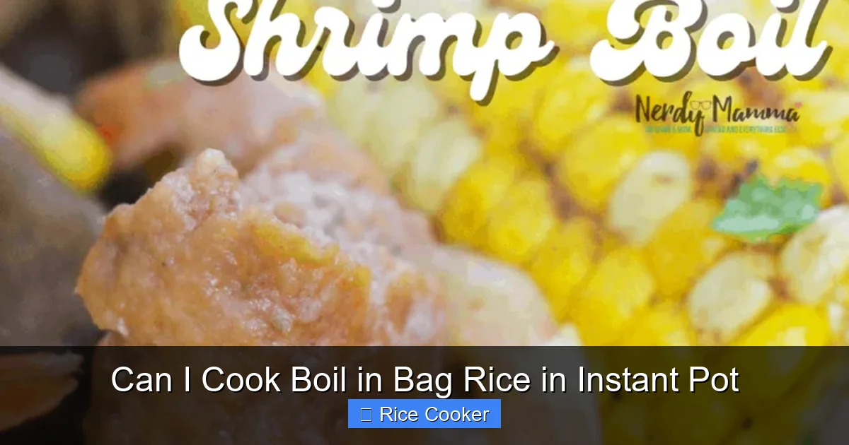 Can I Cook Boil in Bag Rice in Instant Pot