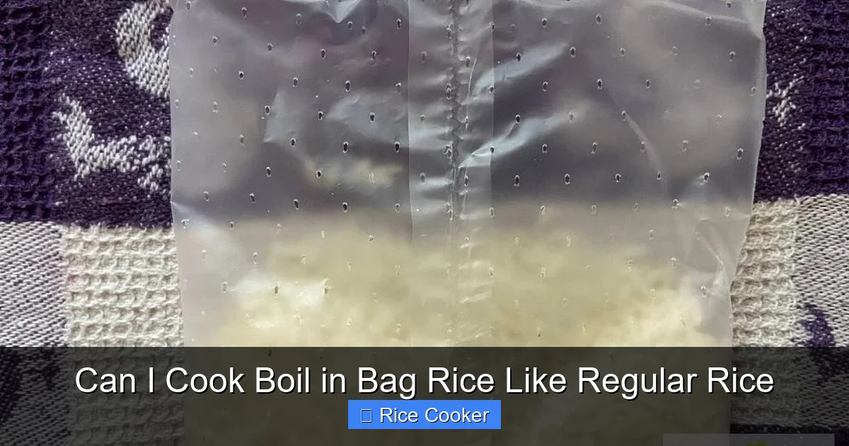 Can I Cook Boil in Bag Rice Like Regular Rice