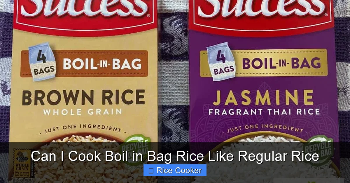 Can I Cook Boil in Bag Rice Like Regular Rice