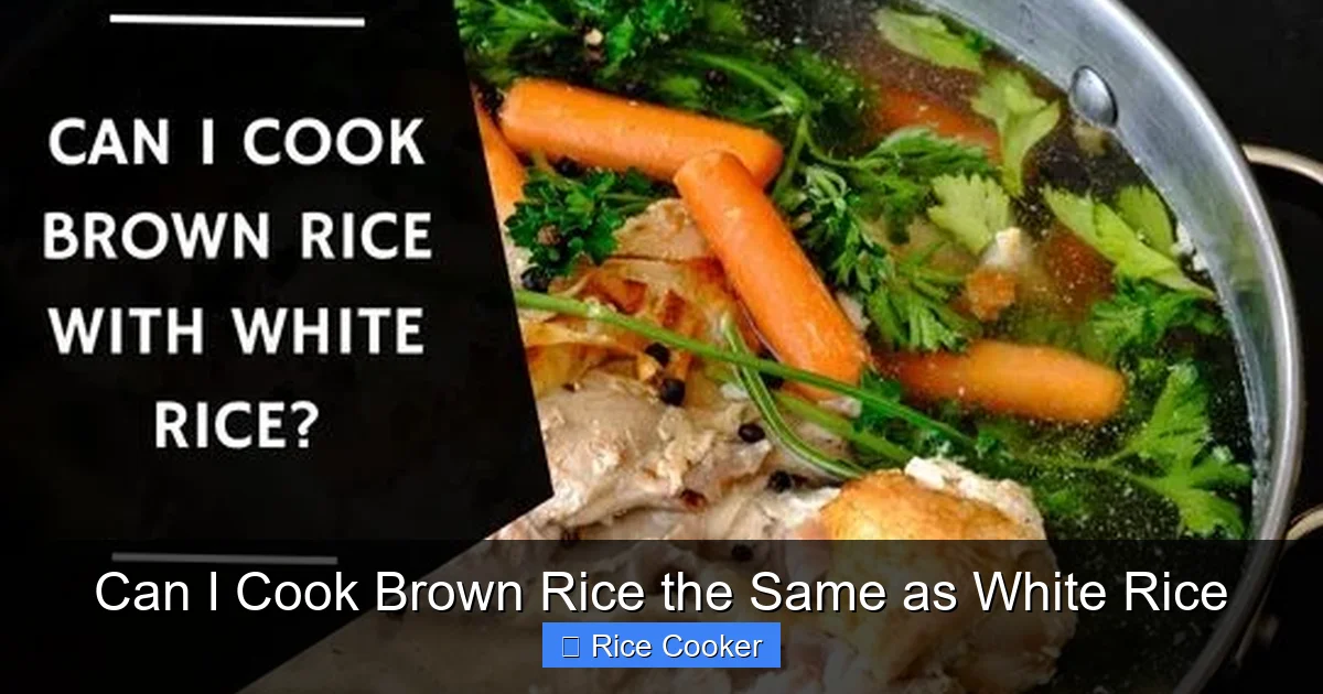 Can I Cook Brown Rice the Same as White Rice