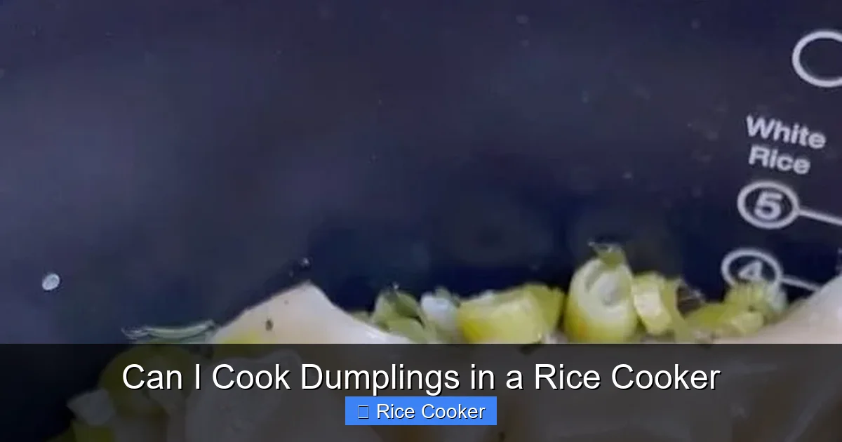 Can I Cook Dumplings in a Rice Cooker