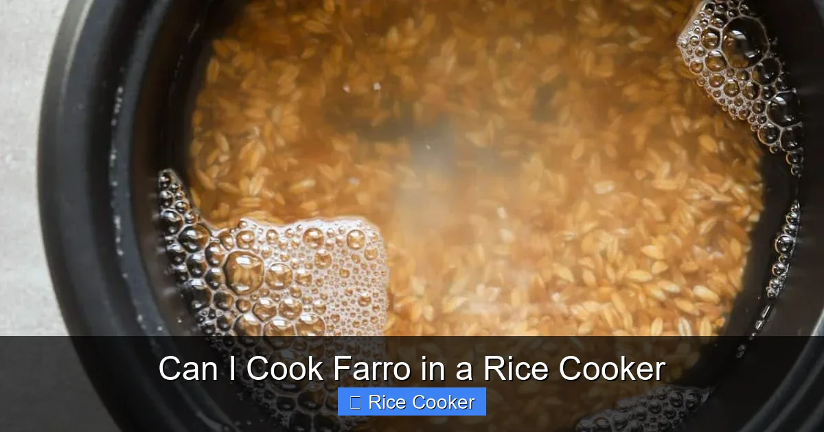 Can I Cook Farro in a Rice Cooker