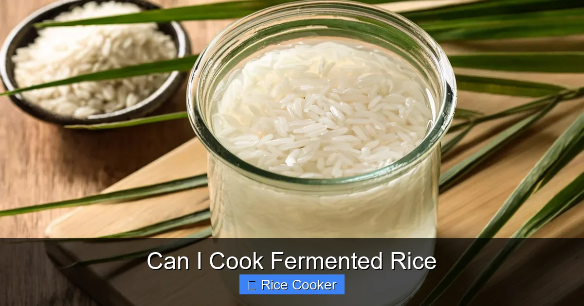 Can I Cook Fermented Rice