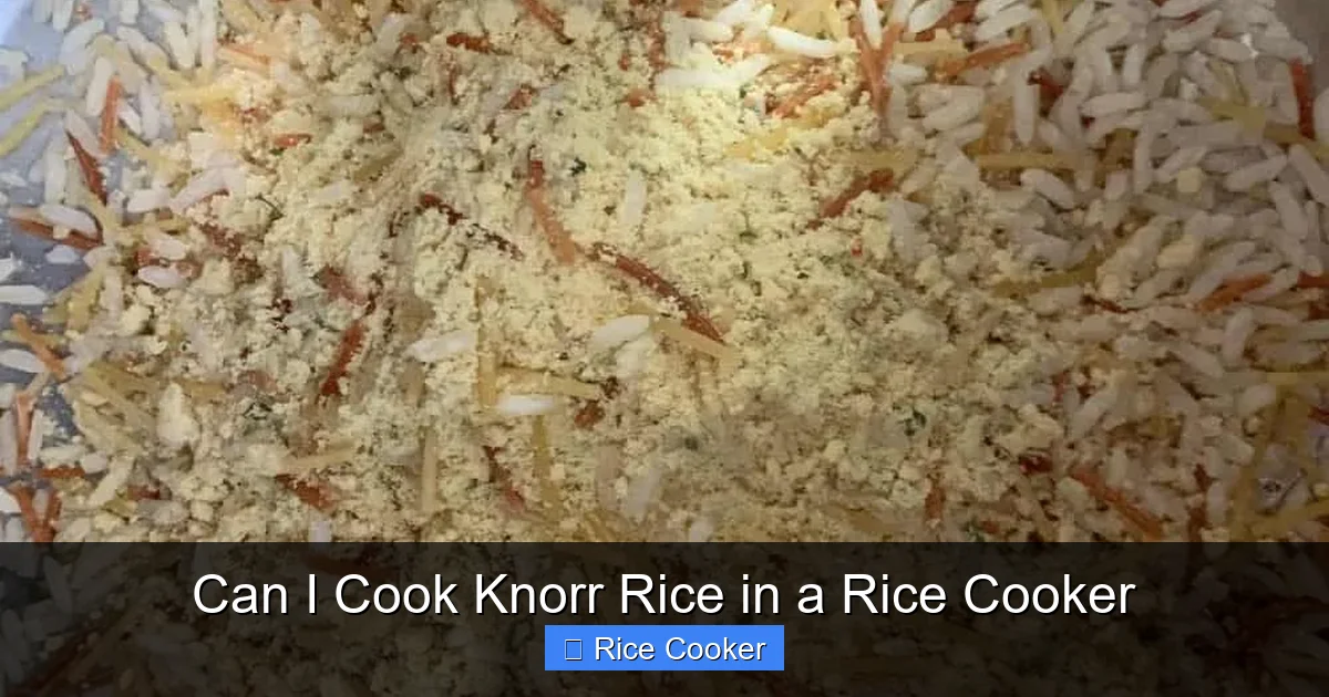 Can I Cook Knorr Rice in a Rice Cooker