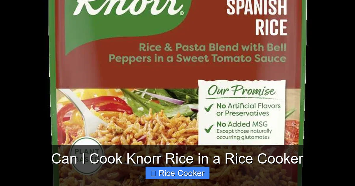 Can I Cook Knorr Rice in a Rice Cooker