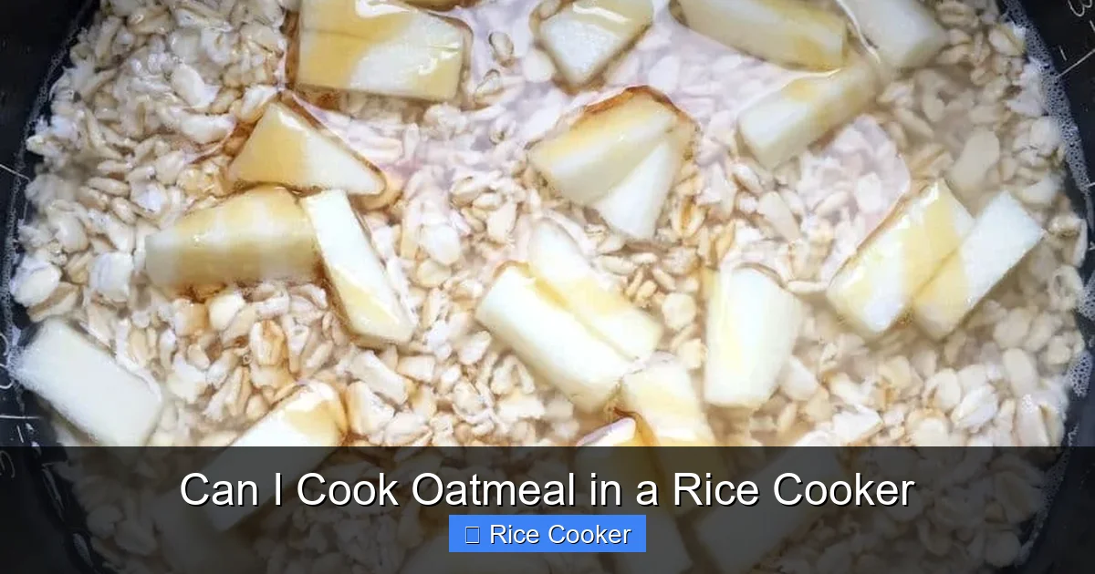 Can I Cook Oatmeal in a Rice Cooker