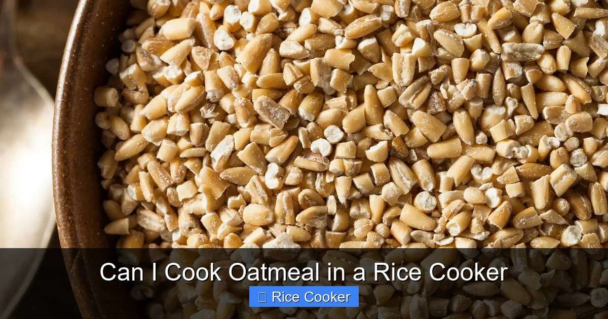 Can I Cook Oatmeal in a Rice Cooker