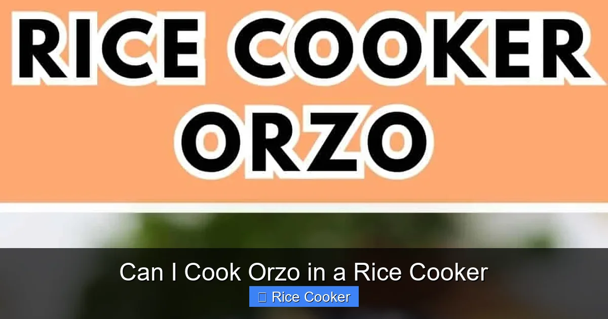 Can I Cook Orzo in a Rice Cooker
